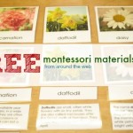 Free Montessori Materials